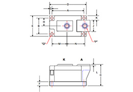 Single Diode Module LS813445